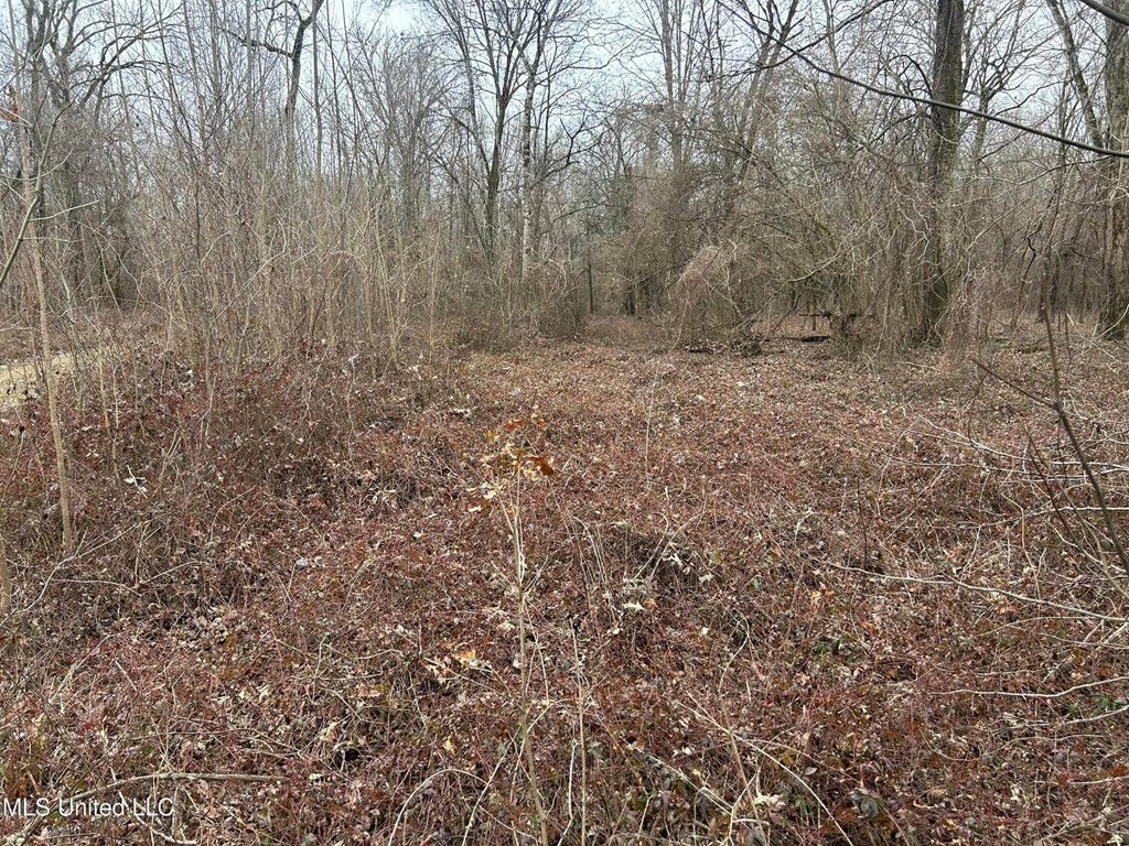 0 Campbell Swamp Road Vicksburg, MS 39180 - Photo 24 of 44 Photo 24