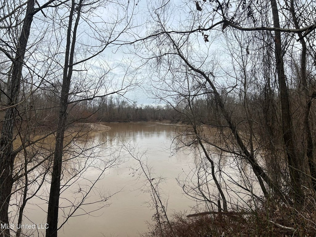 0 Campbell Swamp Road Vicksburg, MS 39180 - Photo 32 of 44 Photo 32