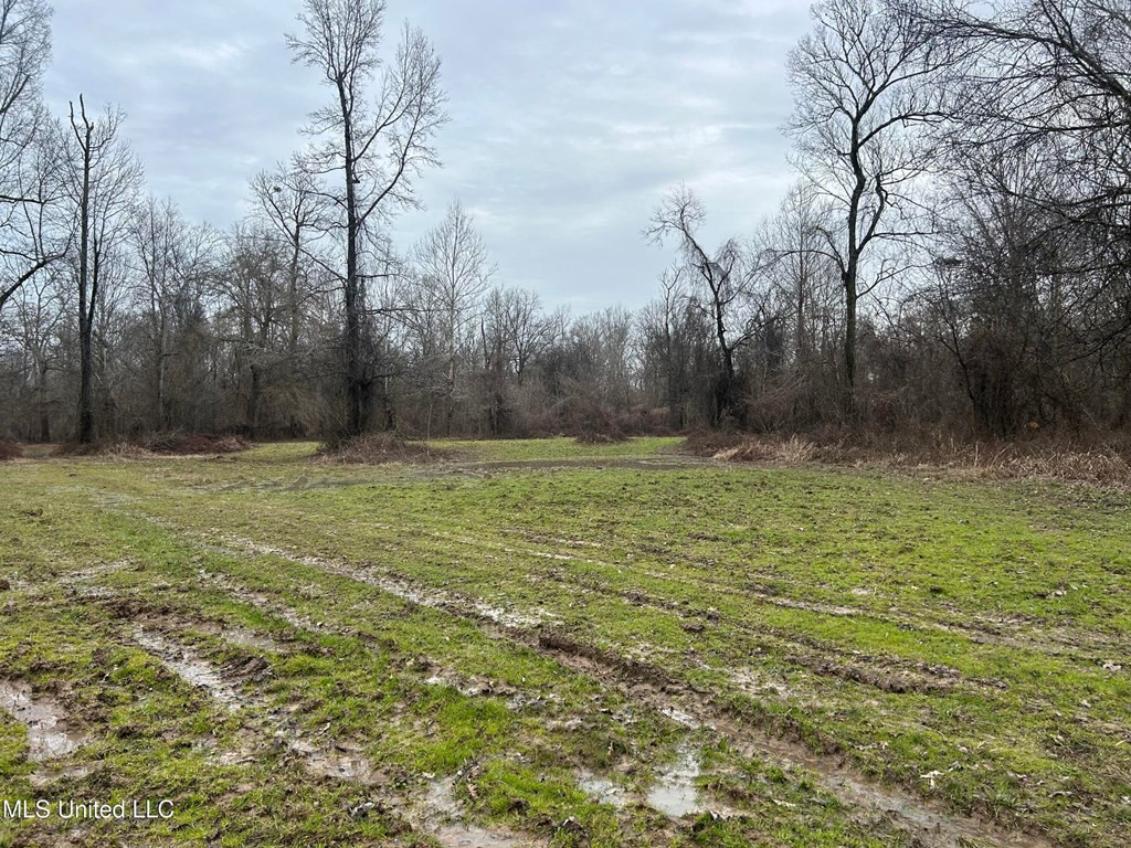 0 Campbell Swamp Road Vicksburg, MS 39180 - Photo 35 of 44 Photo 35