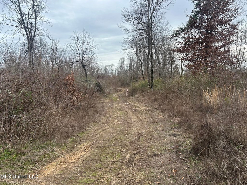 0 Campbell Swamp Road Vicksburg, MS 39180 - Photo 41 of 44 Photo 41