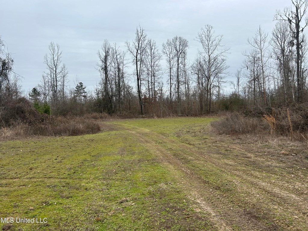 0 Campbell Swamp Road Vicksburg, MS 39180 - Photo 7 of 44 Photo 7