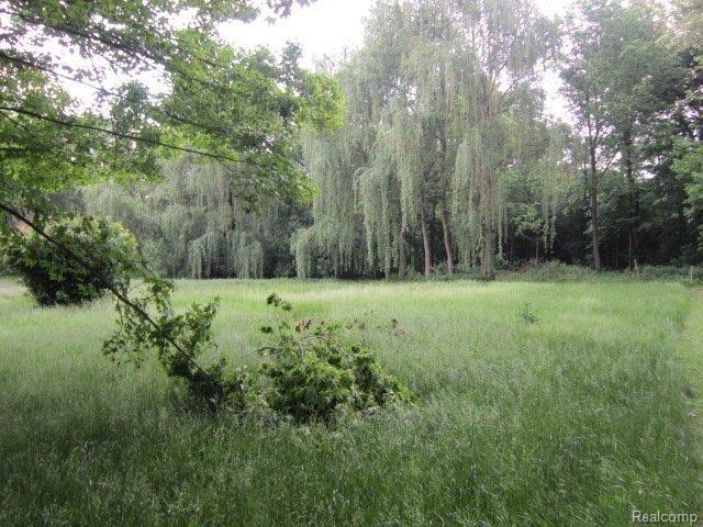 6105 Denton Road Belleville, MI 48111 - Photo 4 of 19 IMG_4624.JPG