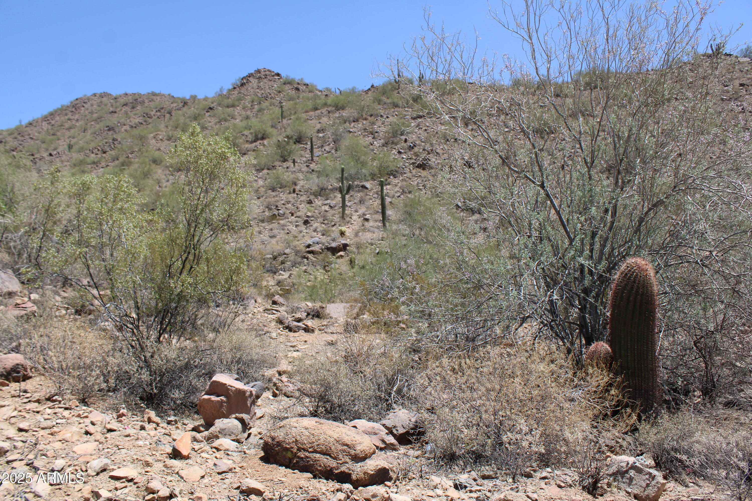 13990 East Coyote Road, Unit 11 Scottsdale, AZ 85259 - Photo 24 of 26 IMG_4863