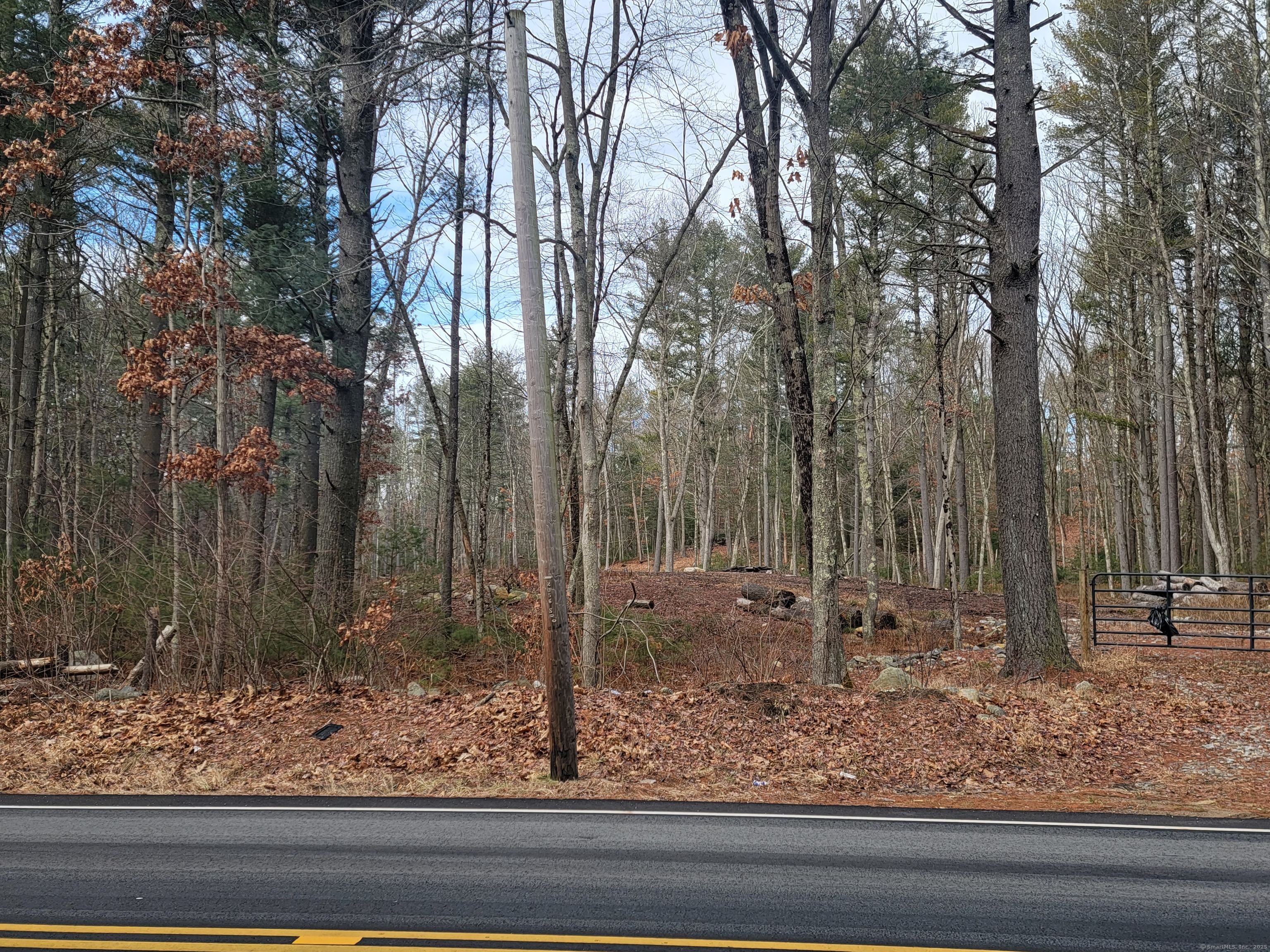 200 Orcuttville Road Stafford, CT 06076 - Photo 4 of 5 a view of a yard with trees