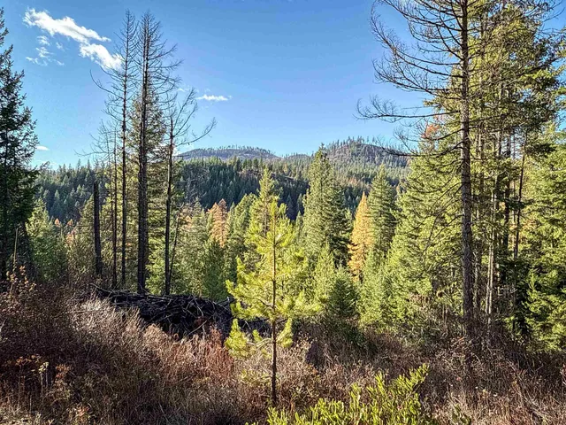 $198,500 | Tbd Tbd Olinger (hammer) Road, Springdale, WA 99173