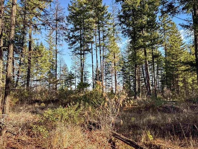 $198,500 | Tbd Tbd Olinger (hammer) Road, Springdale, WA 99173