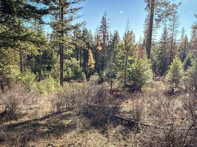 $198,500 | Tbd Tbd Olinger (hammer) Road, Springdale, WA 99173