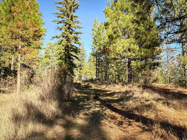 $198,500 | Tbd Tbd Olinger (hammer) Road, Springdale, WA 99173