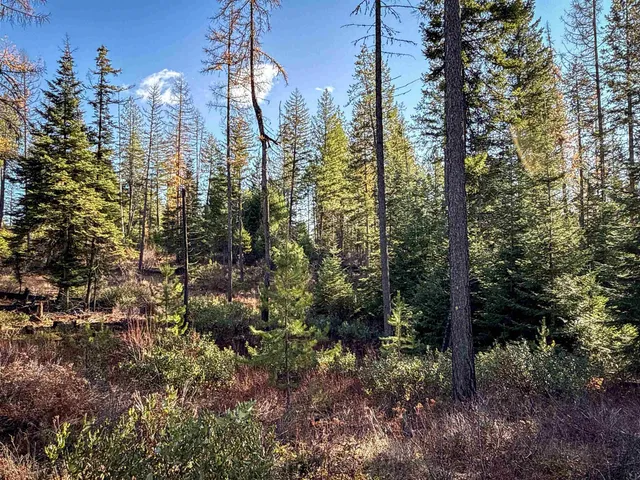 $198,500 | Tbd Tbd Olinger (hammer) Road, Springdale, WA 99173