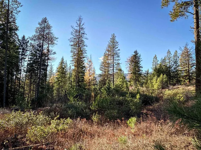 $198,500 | Tbd Tbd Olinger (hammer) Road, Springdale, WA 99173