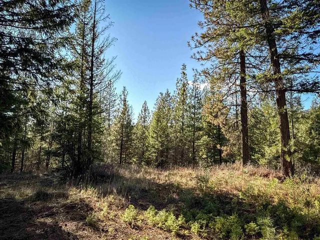 $198,500 | Tbd Tbd Olinger (hammer) Road, Springdale, WA 99173
