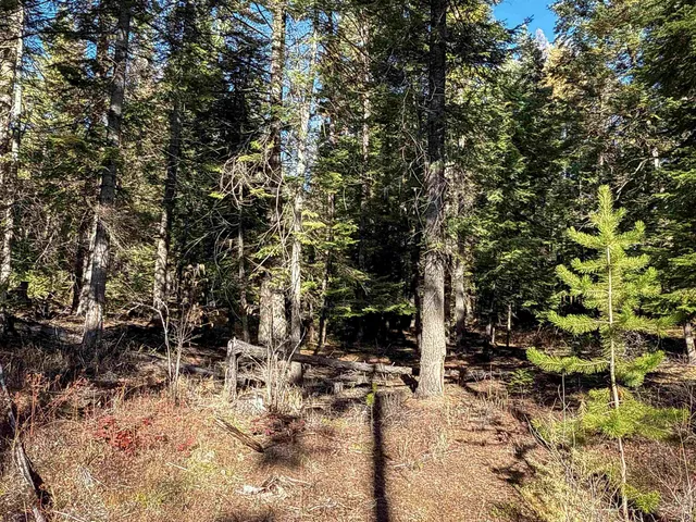 $198,500 | Tbd Tbd Olinger (hammer) Road, Springdale, WA 99173