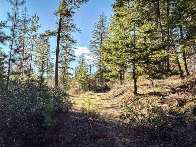 $198,500 | Tbd Tbd Olinger (hammer) Road, Springdale, WA 99173