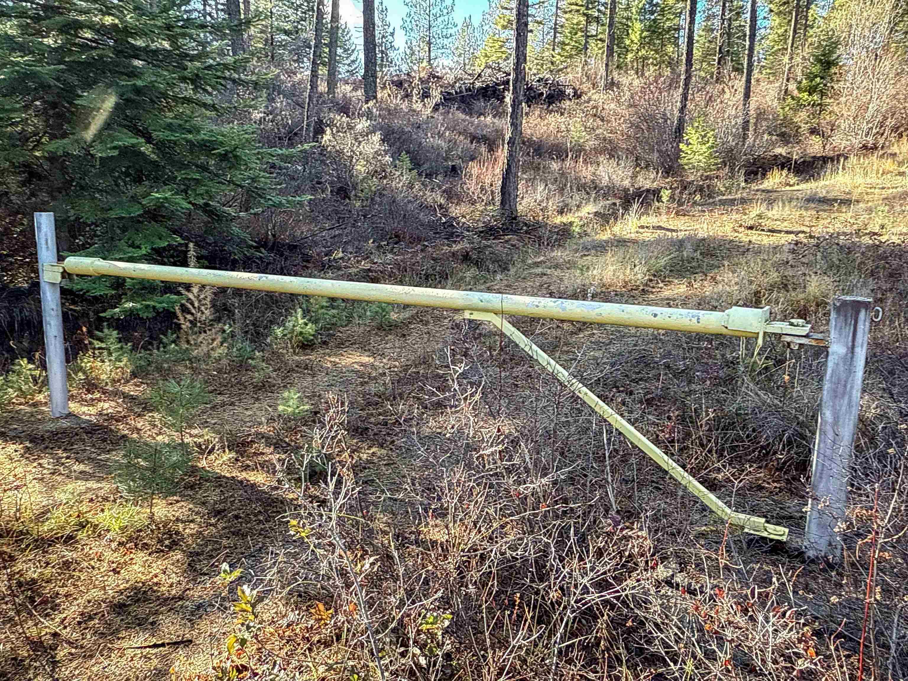 Tbd Tbd Olinger (hammer) Road Springdale, WA 99173 - Photo 2 of 50