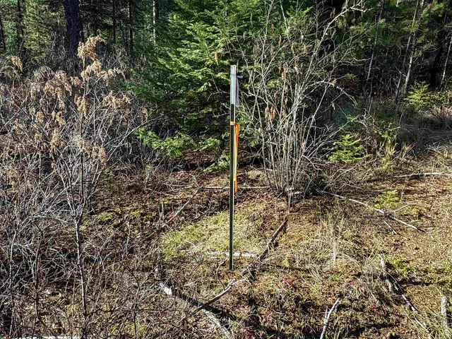 $198,500 | Tbd Tbd Olinger (hammer) Road, Springdale, WA 99173