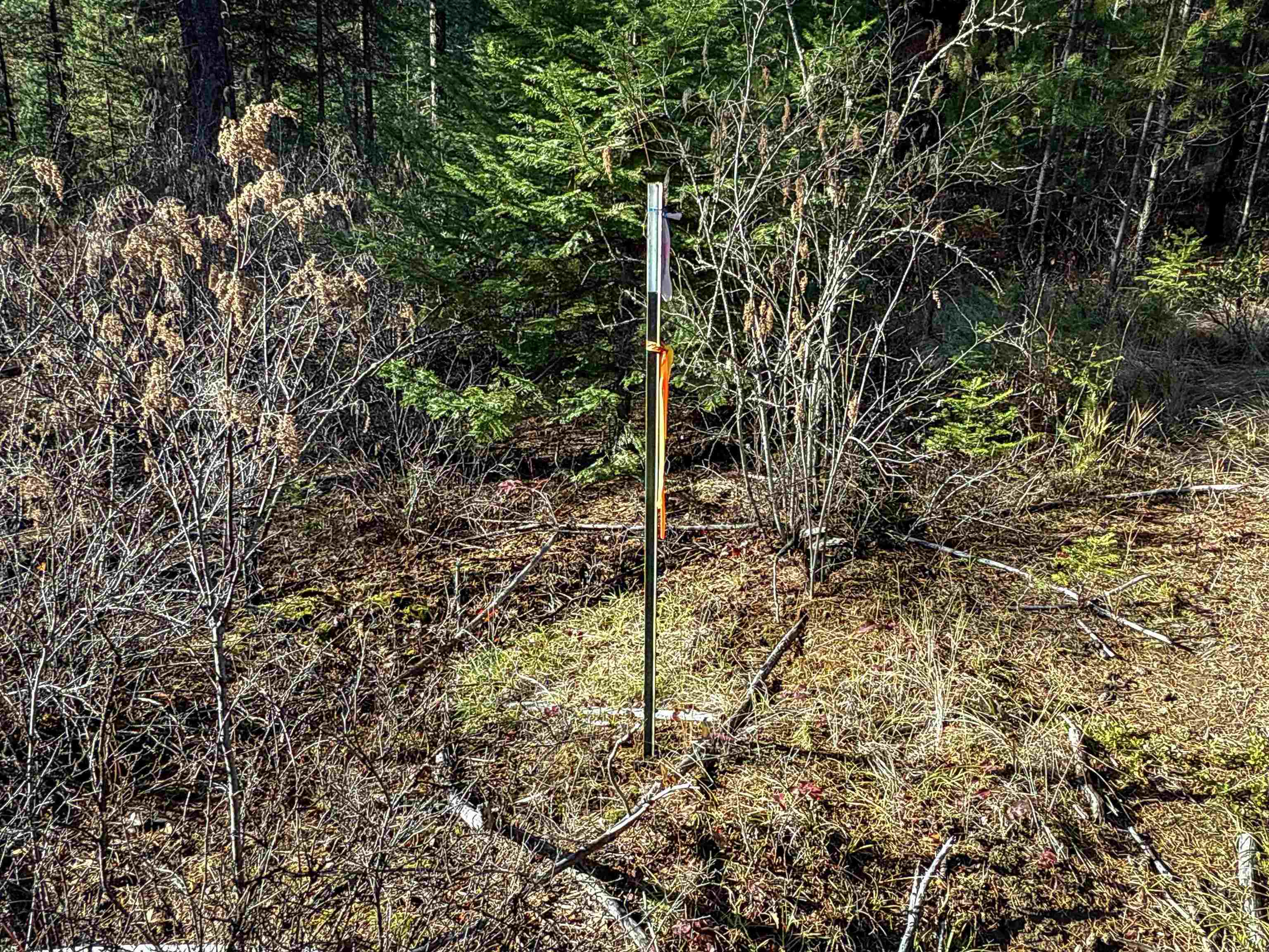 Tbd Tbd Olinger (hammer) Road Springdale, WA 99173 - Photo 21 of 50