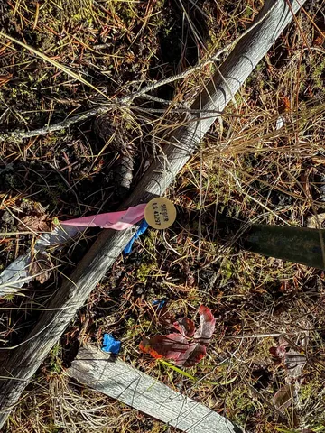 $198,500 | Tbd Tbd Olinger (hammer) Road, Springdale, WA 99173