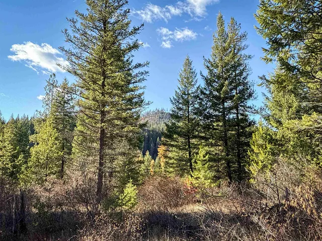 $198,500 | Tbd Tbd Olinger (hammer) Road, Springdale, WA 99173