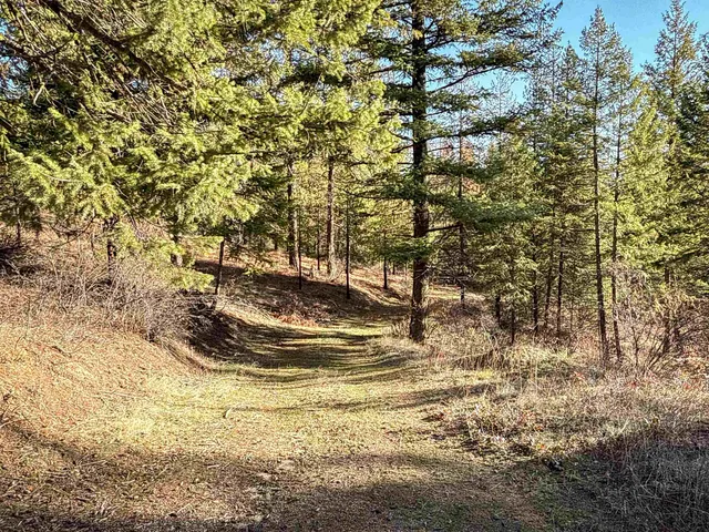 $198,500 | Tbd Tbd Olinger (hammer) Road, Springdale, WA 99173