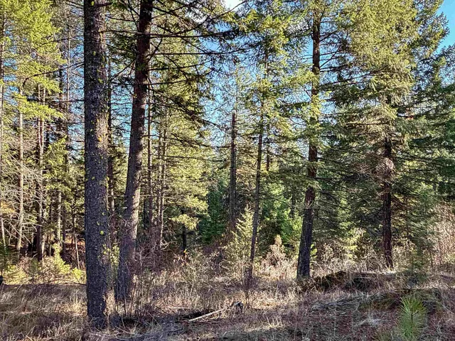 $198,500 | Tbd Tbd Olinger (hammer) Road, Springdale, WA 99173