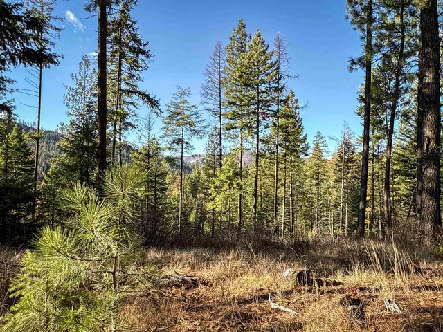 $198,500 | Tbd Tbd Olinger (hammer) Road, Springdale, WA 99173