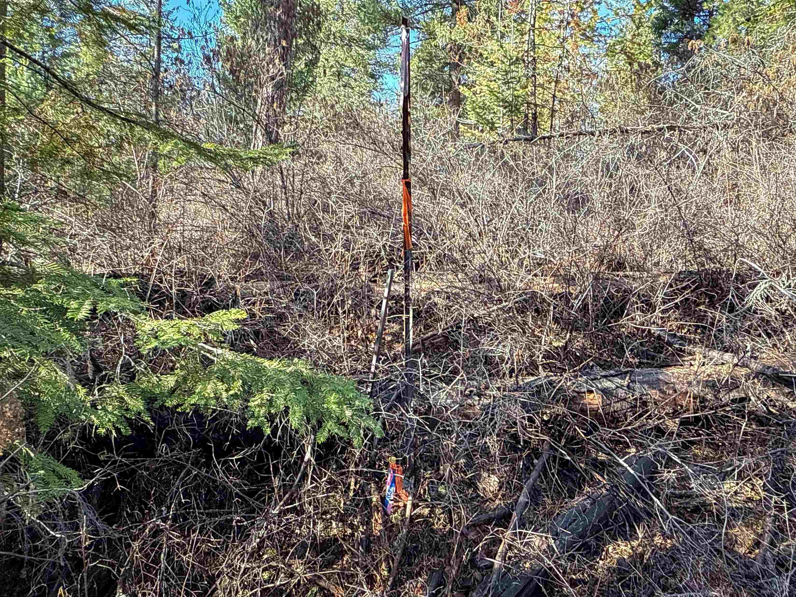 Tbd Tbd Olinger (hammer) Road Springdale, WA 99173 - Photo 29 of 50