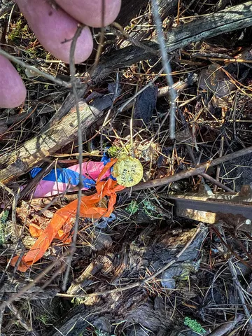 $198,500 | Tbd Tbd Olinger (hammer) Road, Springdale, WA 99173