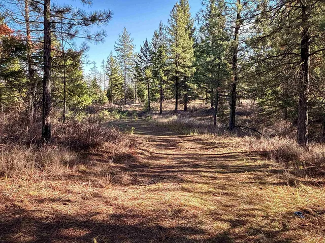 $198,500 | Tbd Tbd Olinger (hammer) Road, Springdale, WA 99173