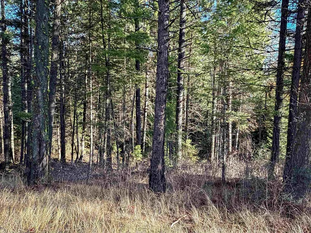 $198,500 | Tbd Tbd Olinger (hammer) Road, Springdale, WA 99173