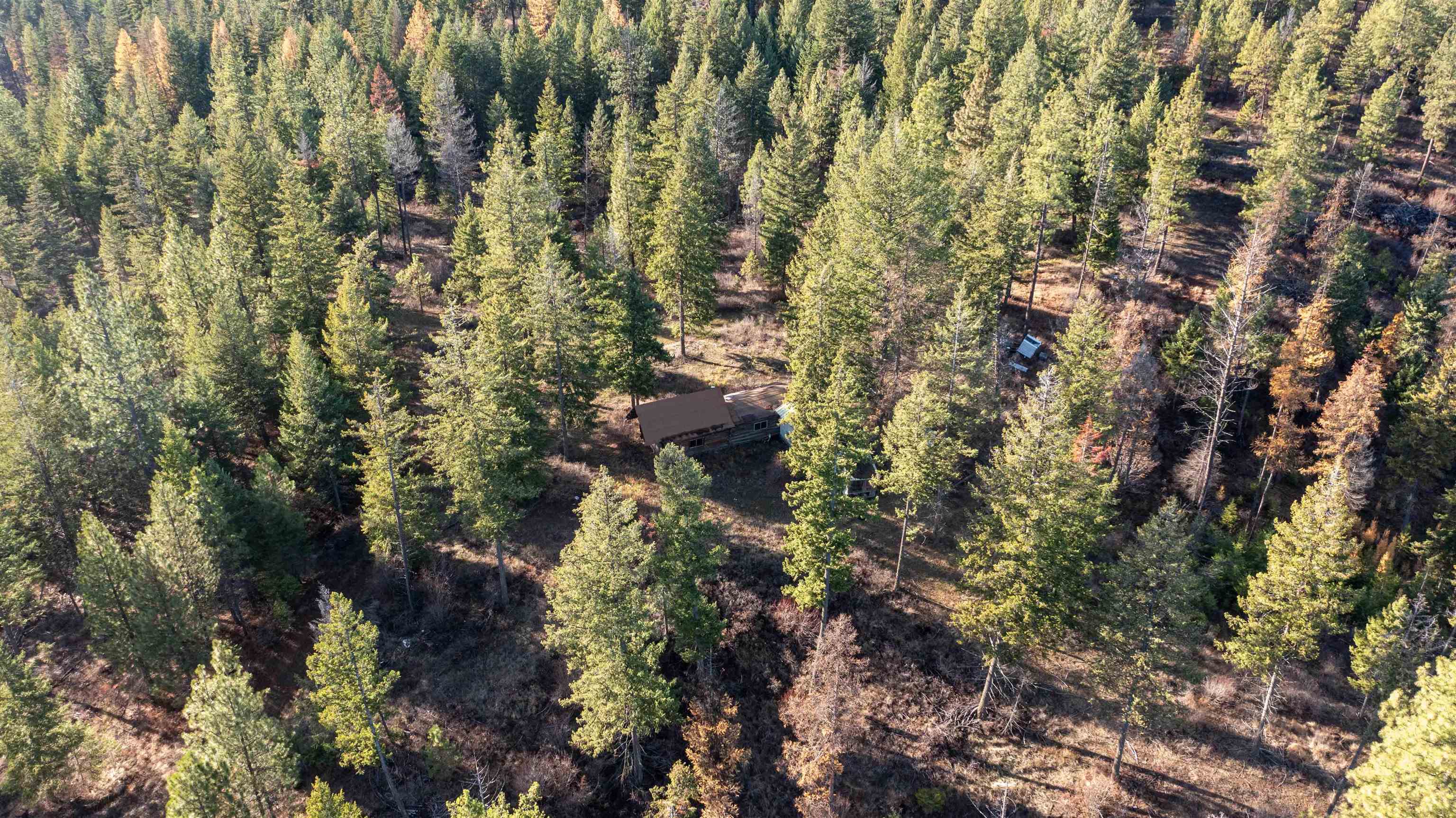 Tbd Tbd Olinger (hammer) Road Springdale, WA 99173 - Photo 33 of 50