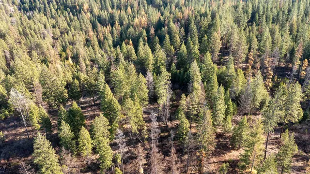 $198,500 | Tbd Tbd Olinger (hammer) Road, Springdale, WA 99173