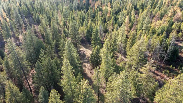 $198,500 | Tbd Tbd Olinger (hammer) Road, Springdale, WA 99173