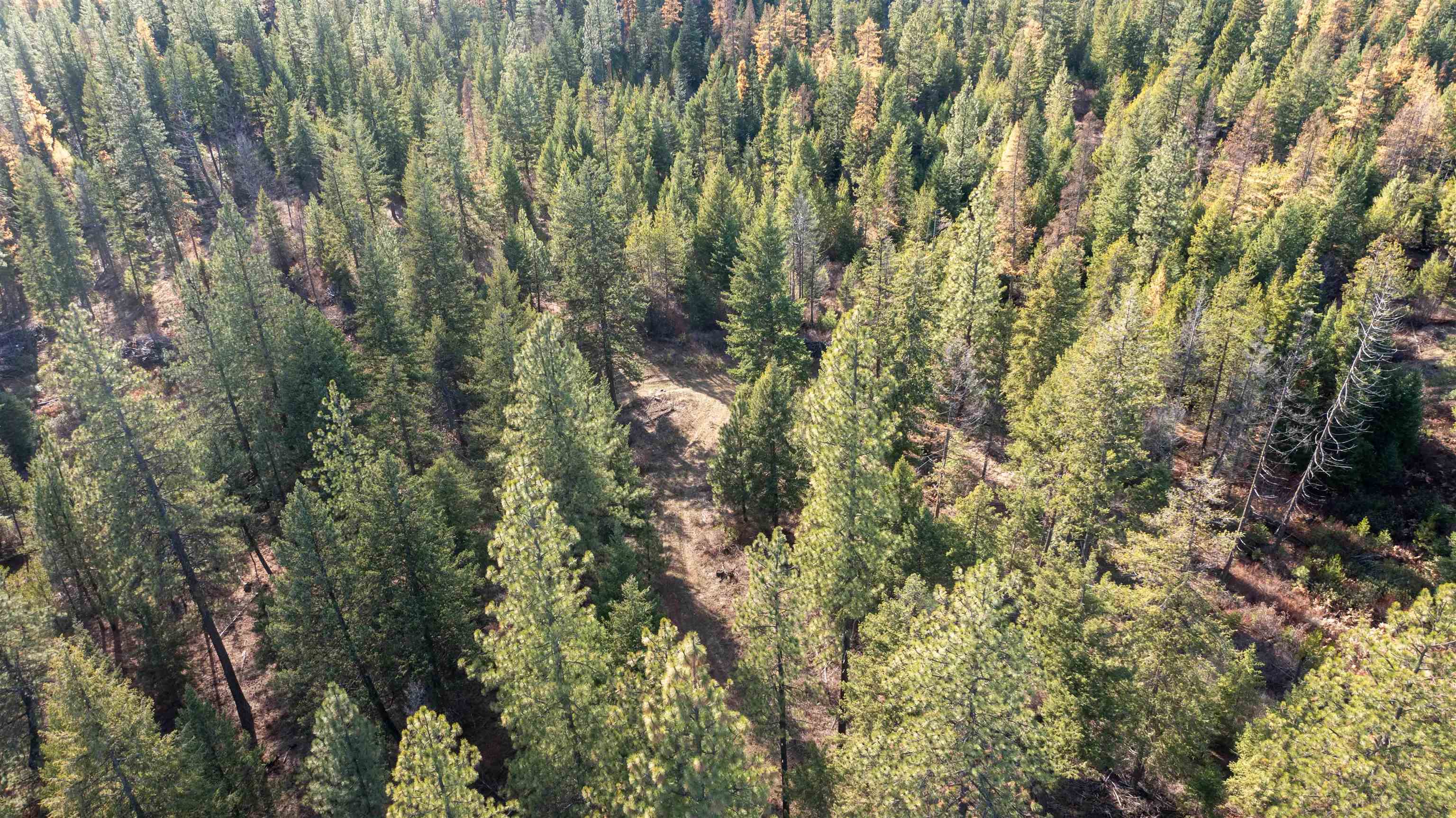 Tbd Tbd Olinger (hammer) Road Springdale, WA 99173 - Photo 39 of 50