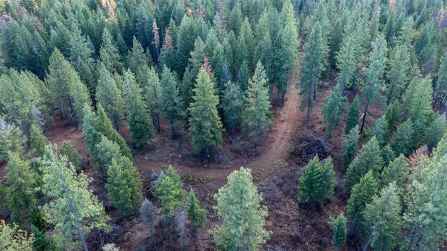 $198,500 | Tbd Tbd Olinger (hammer) Road, Springdale, WA 99173