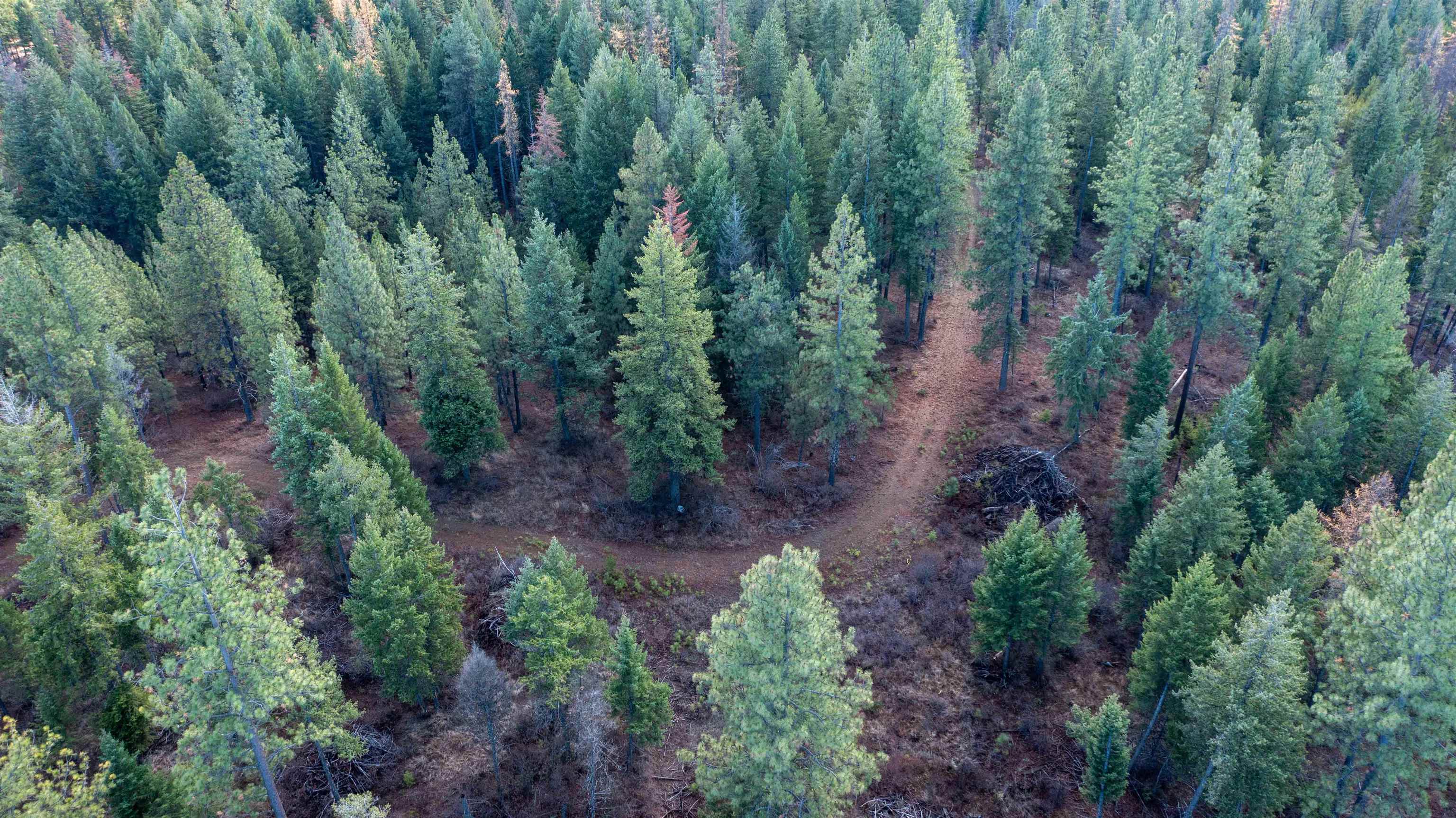 Tbd Tbd Olinger (hammer) Road Springdale, WA 99173 - Photo 40 of 50