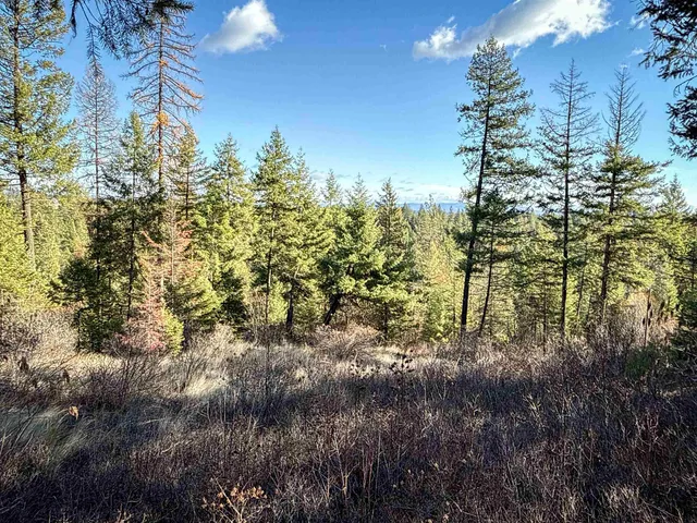 $198,500 | Tbd Tbd Olinger (hammer) Road, Springdale, WA 99173