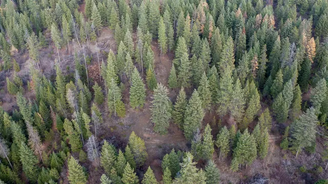 $198,500 | Tbd Tbd Olinger (hammer) Road, Springdale, WA 99173