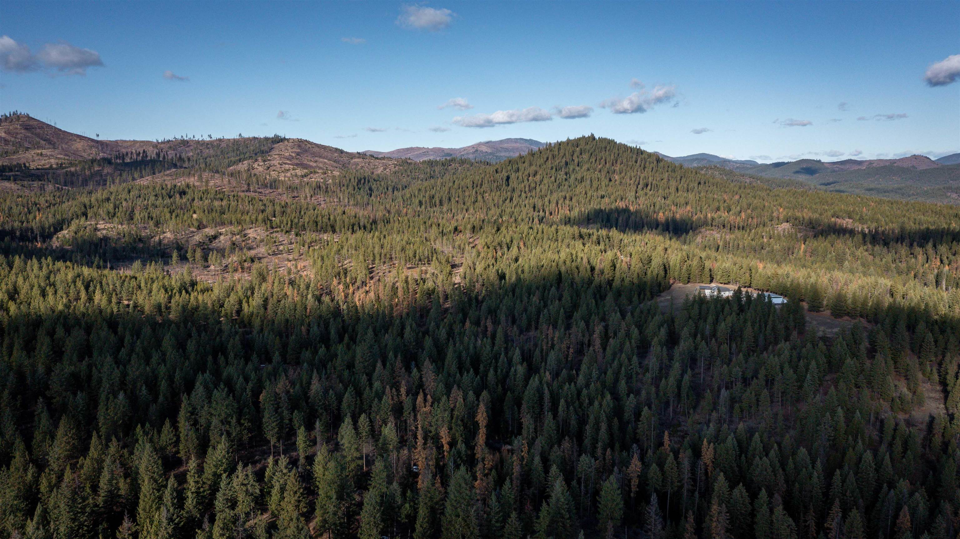 Tbd Tbd Olinger (hammer) Road Springdale, WA 99173 - Photo 42 of 50