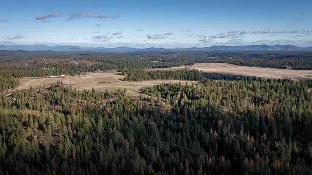 $198,500 | Tbd Tbd Olinger (hammer) Road, Springdale, WA 99173