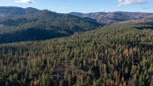 $198,500 | Tbd Tbd Olinger (hammer) Road, Springdale, WA 99173