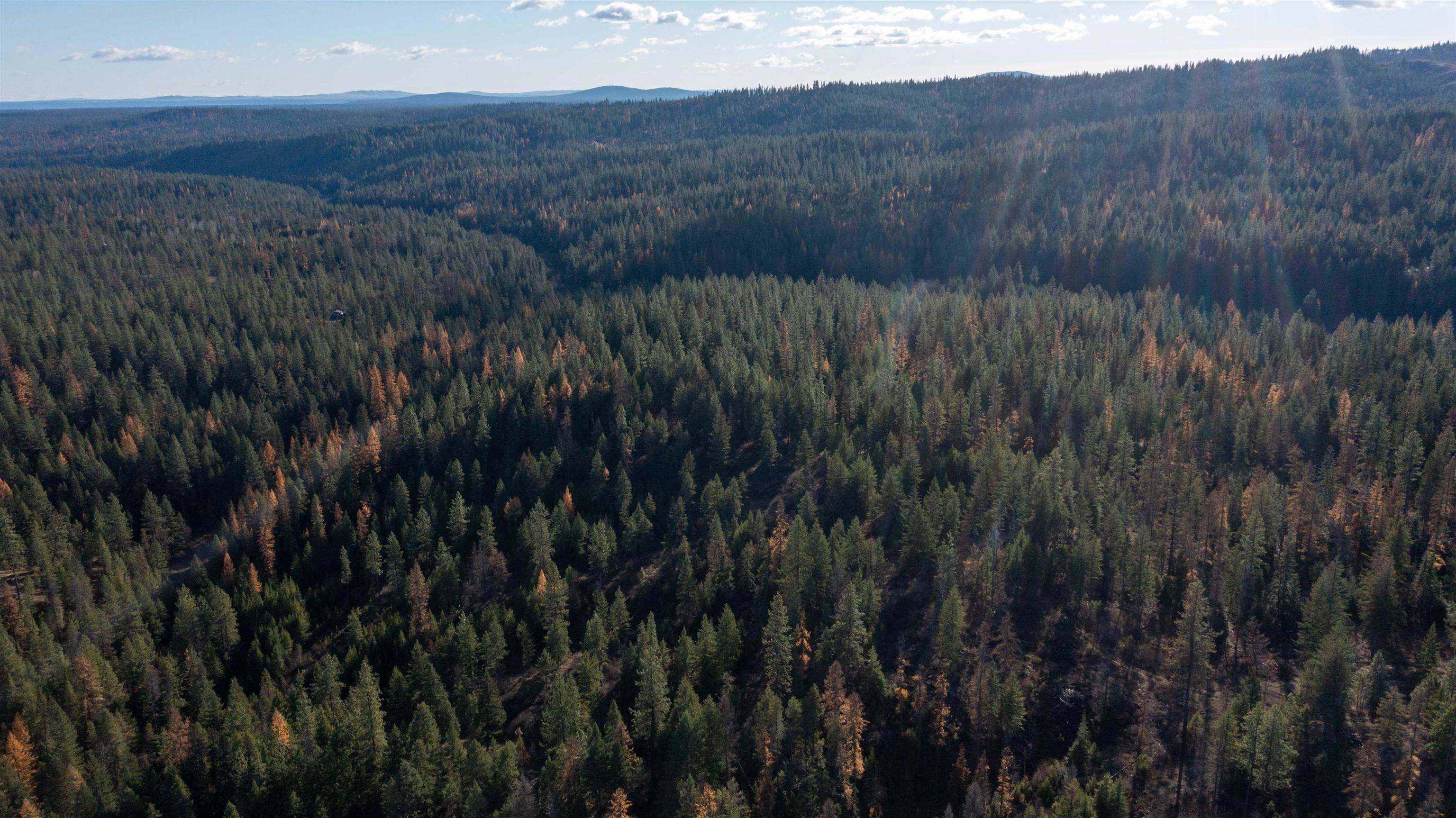 Tbd Tbd Olinger (hammer) Road Springdale, WA 99173 - Photo 45 of 50