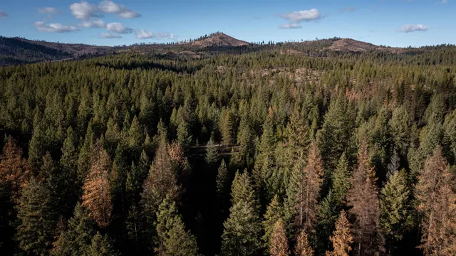 $198,500 | Tbd Tbd Olinger (hammer) Road, Springdale, WA 99173