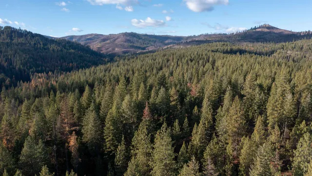 $198,500 | Tbd Tbd Olinger (hammer) Road, Springdale, WA 99173