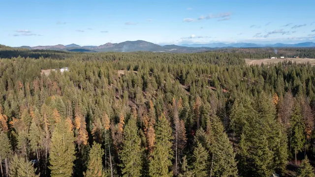 $198,500 | Tbd Tbd Olinger (hammer) Road, Springdale, WA 99173