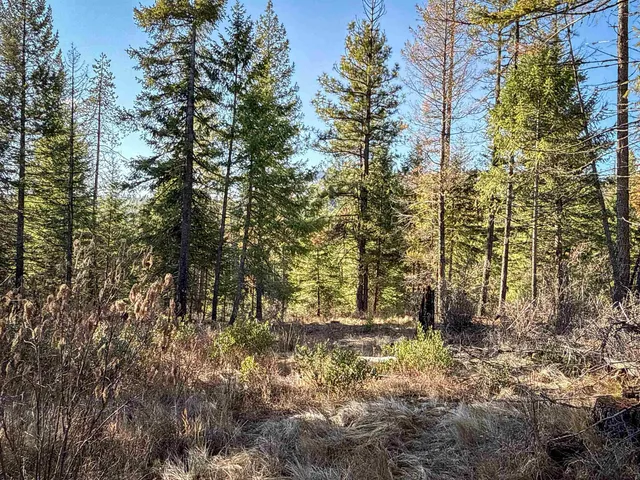 $198,500 | Tbd Tbd Olinger (hammer) Road, Springdale, WA 99173