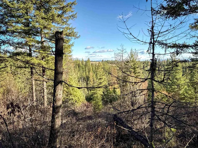 $198,500 | Tbd Tbd Olinger (hammer) Road, Springdale, WA 99173