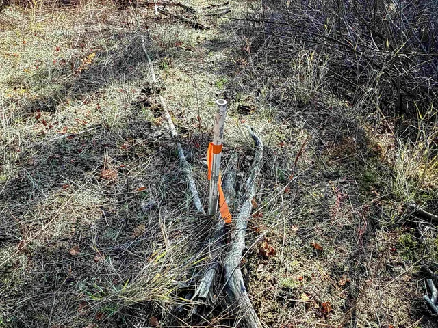 $198,500 | Tbd Tbd Olinger (hammer) Road, Springdale, WA 99173