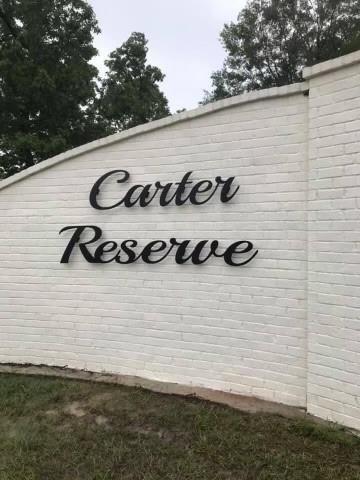 30566 Penntail Street Springfield, LA 70462 - Photo 5 of 11