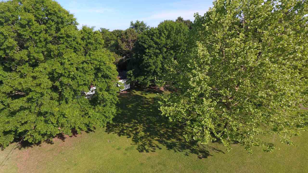 6545 County Road 19 Foley, AL 36535 - Photo 22 of 34