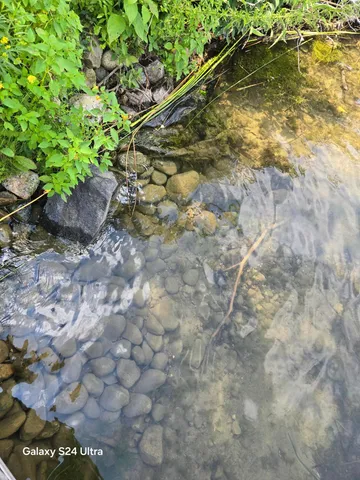 $389,000 | 32408 Strawberry Court, Ogema, MN 56569